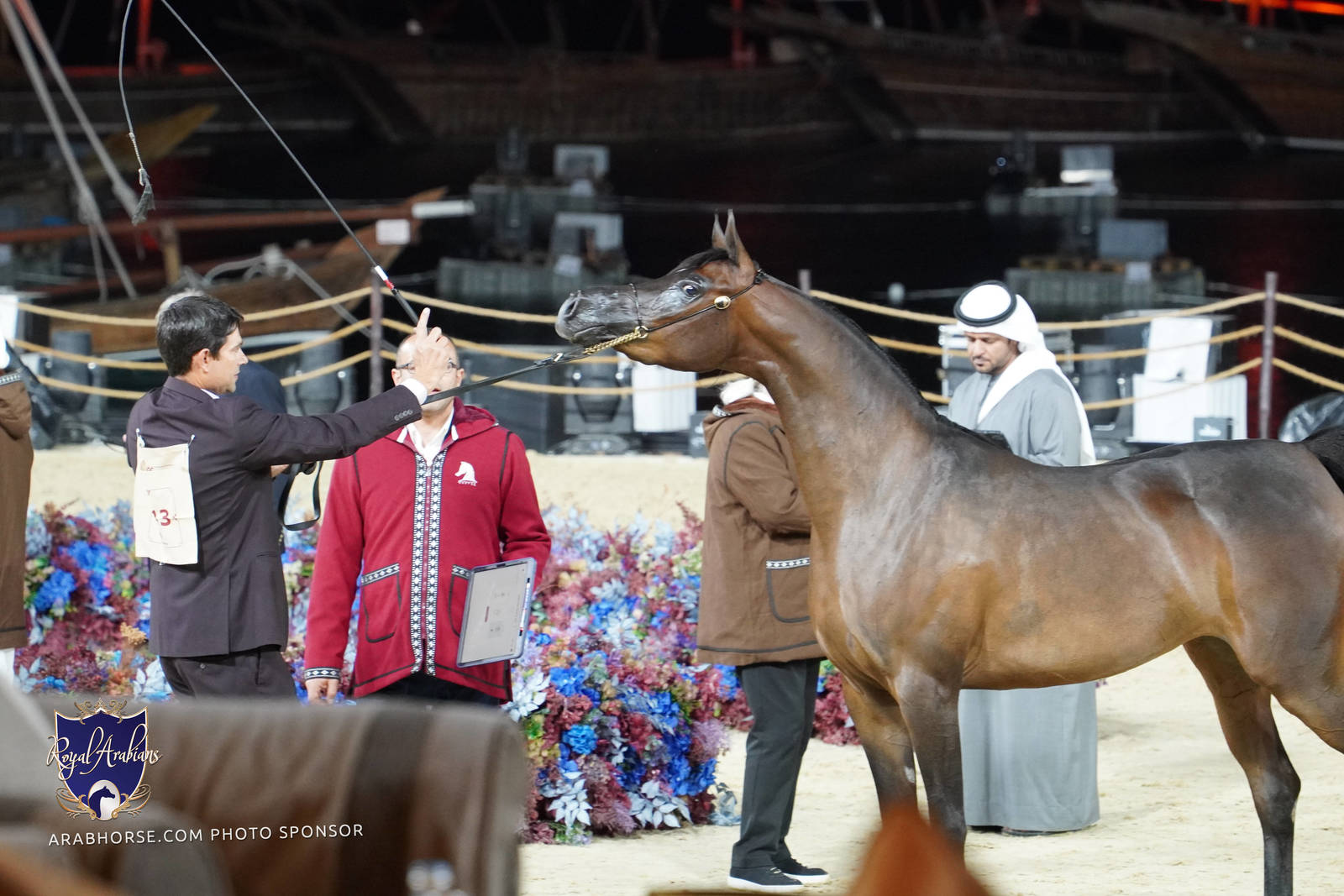 2023 Katara International Arabian Horse Festival: Title Show Day 2