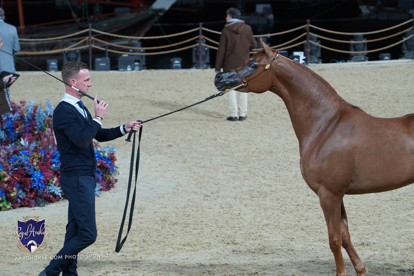 2023 Katara International Arabian Horse Festival: Title Show Day 2