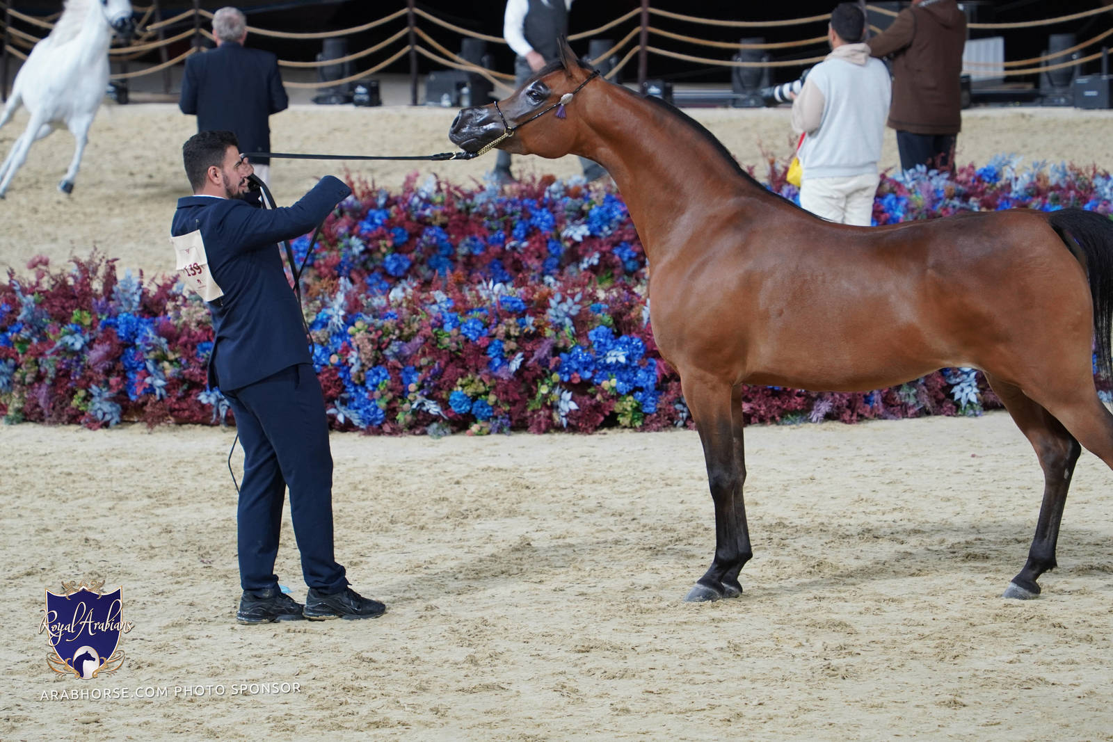 2023 Katara International Arabian Horse Festival: Title Show Day 2