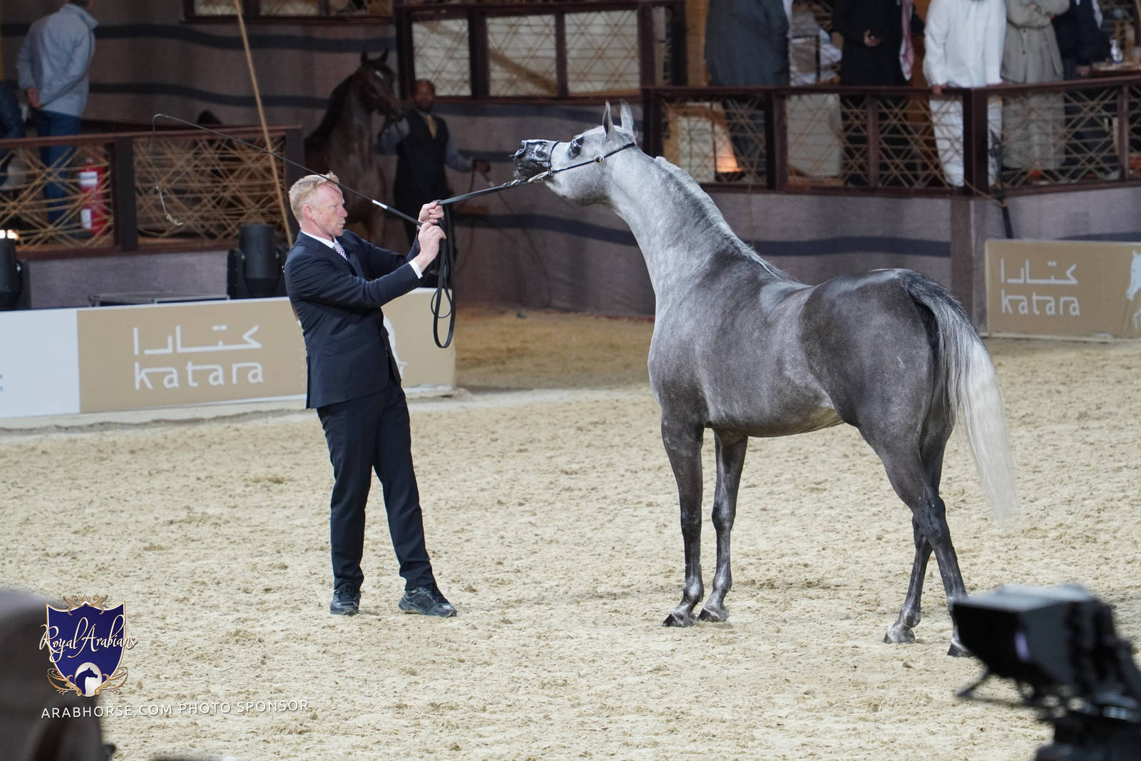 2023 Katara International Arabian Horse Festival: Title Show Day 2
