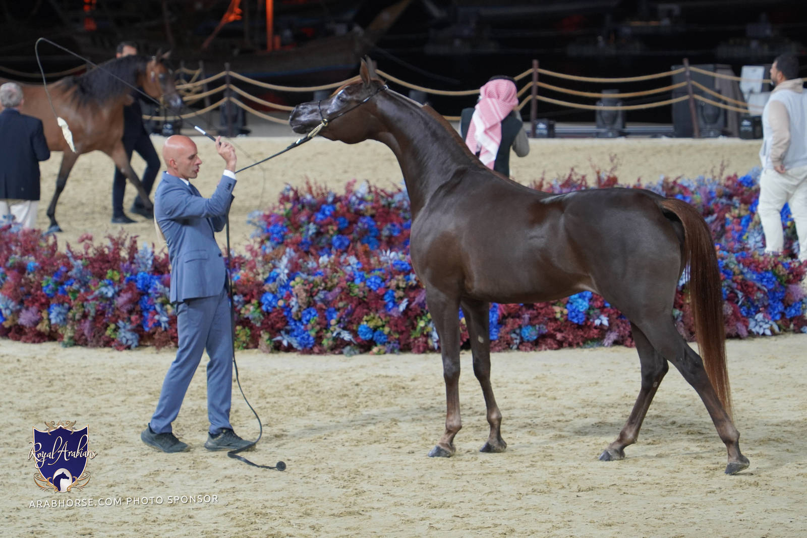 2023 Katara International Arabian Horse Festival: Title Show Day 2