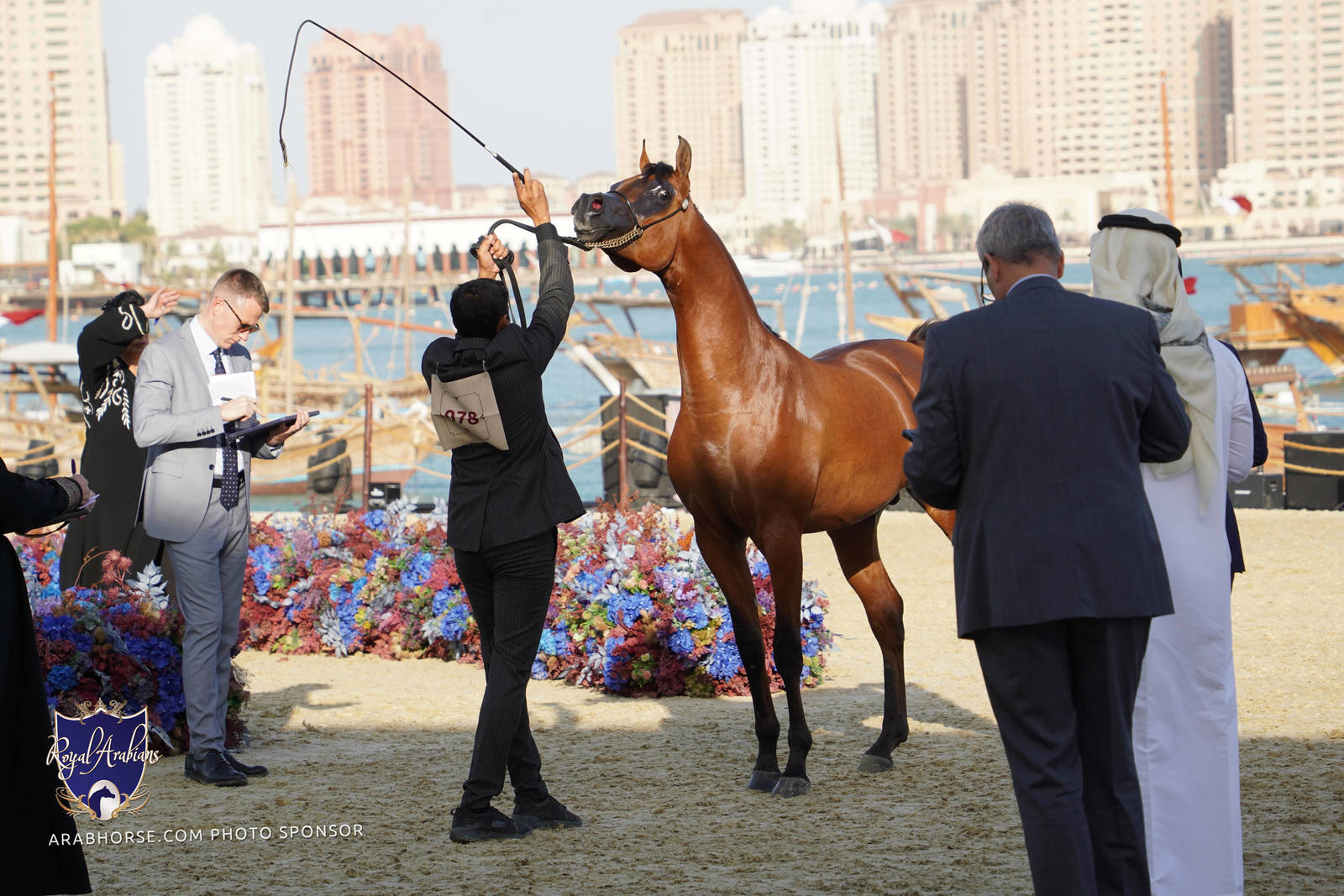 2023 Katara International Arabian Horse Festival: Title Show Day 2