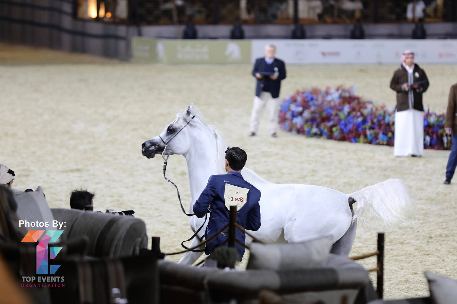 2023 Katara International Arabian Horse Festival: Title Show Day 3