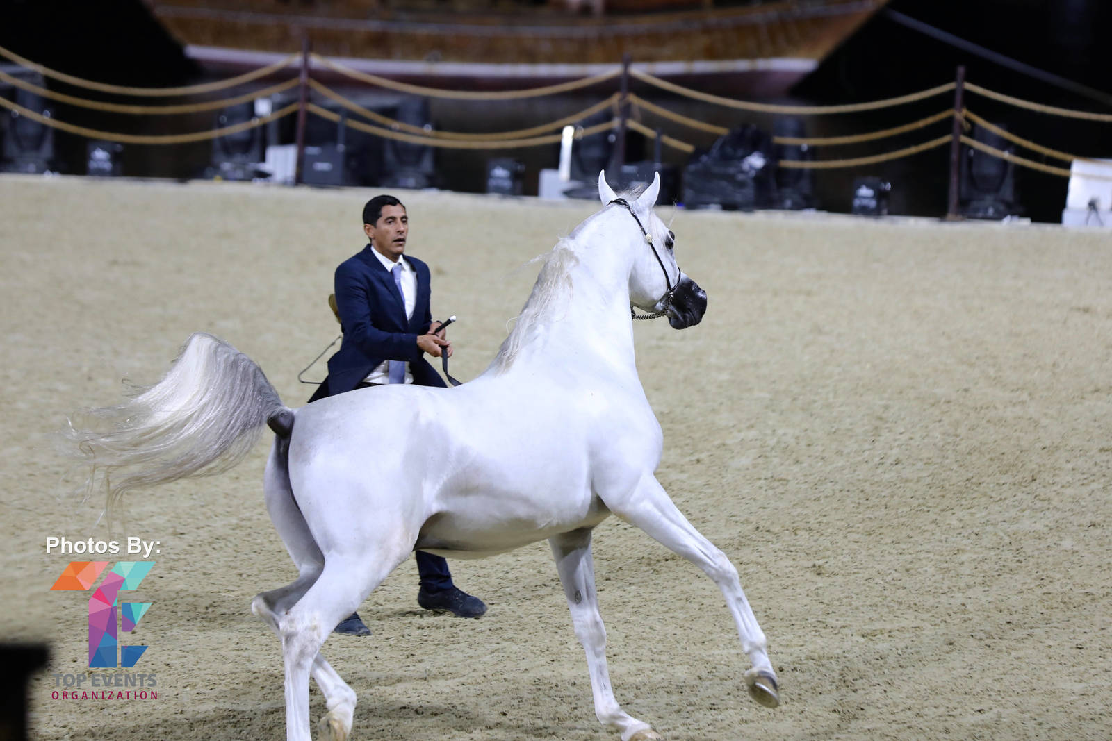 2023 Katara International Arabian Horse Festival: Title Show Day 3
