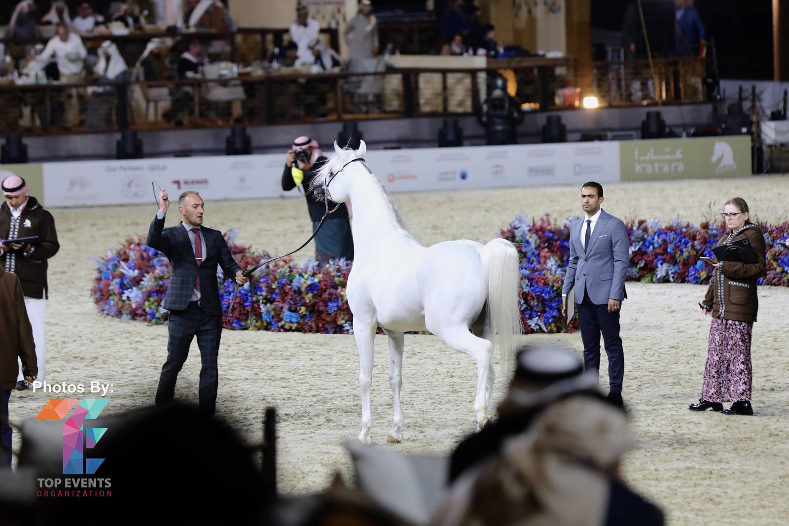 2023 Katara International Arabian Horse Festival: Title Show Day 3