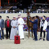 2023 Katara International Arabian Horse Festival: Title Show Day 3