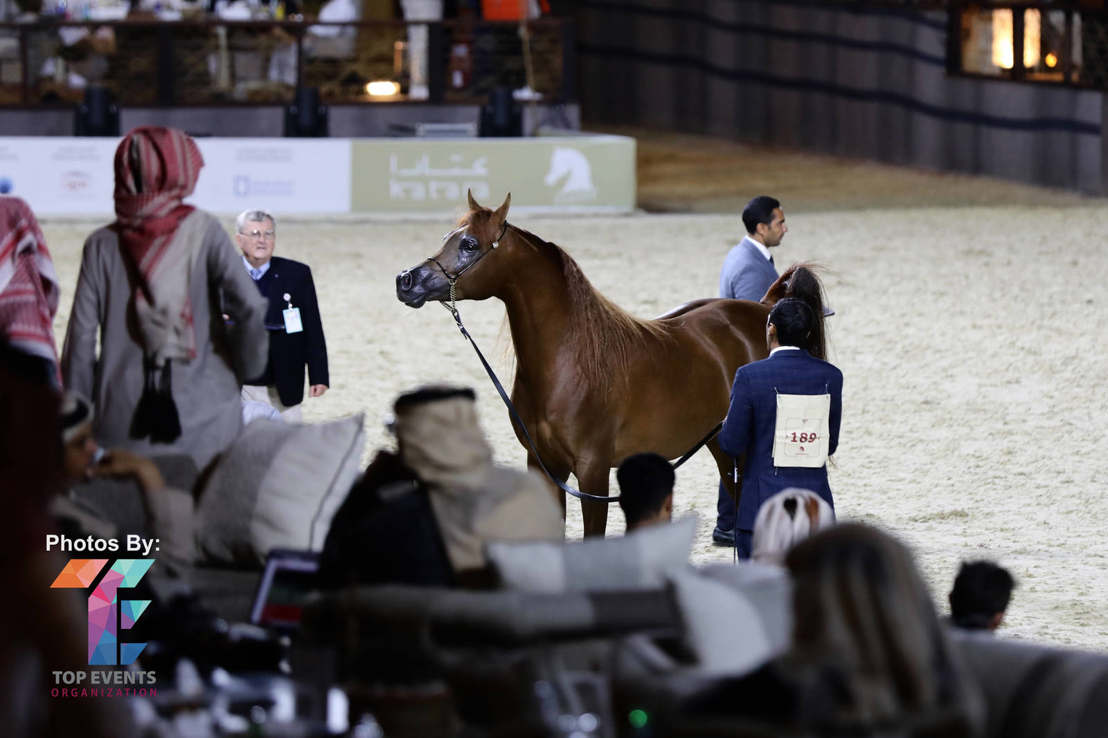 2023 Katara International Arabian Horse Festival: Title Show Day 3