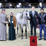 2023 Katara International Arabian Horse Festival: Title Show Day 3