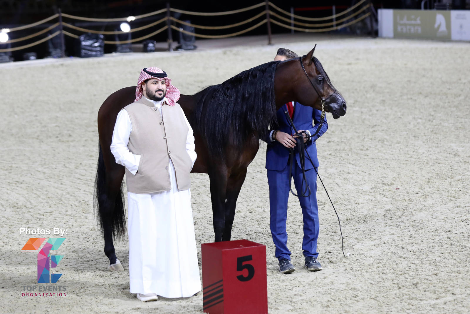 2023 Katara International Arabian Horse Festival: Title Show Day 3