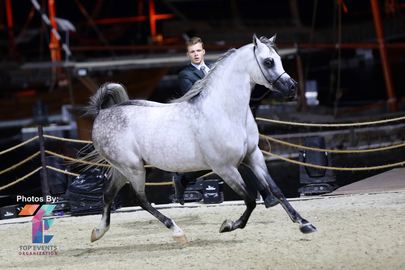 2023 Katara International Arabian Horse Festival: Title Show Day 3