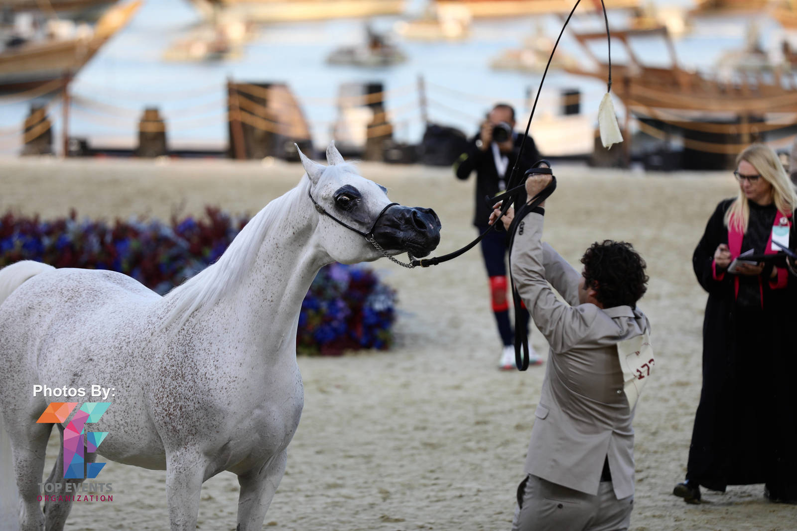 2023 Katara International Arabian Horse Festival: Title Show Day 3
