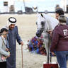 2023 Katara International Arabian Horse Festival: Title Show Day 3