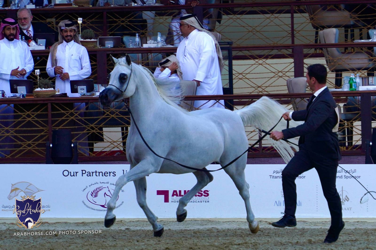 2023 Katara International Arabian Horse Festival: Title Show Day 3