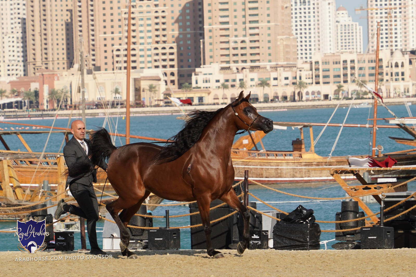 2023 Katara International Arabian Horse Festival: Title Show Day 3