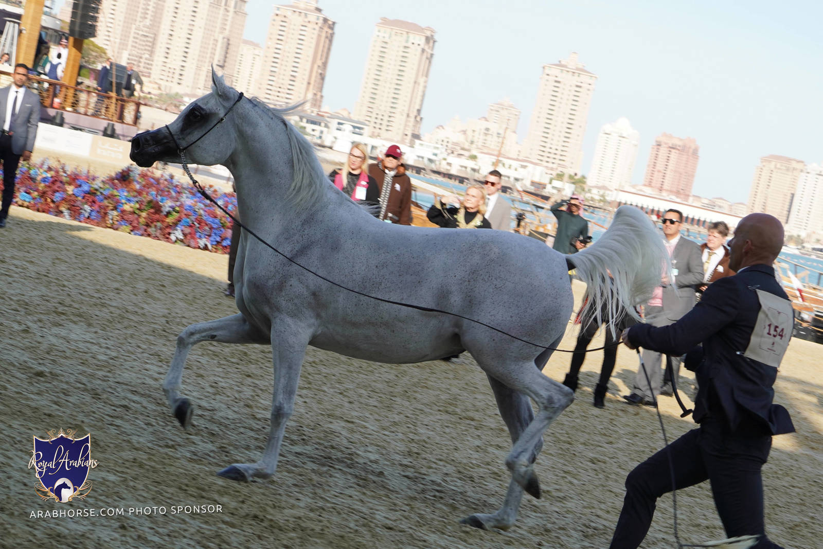 2023 Katara International Arabian Horse Festival: Title Show Day 3