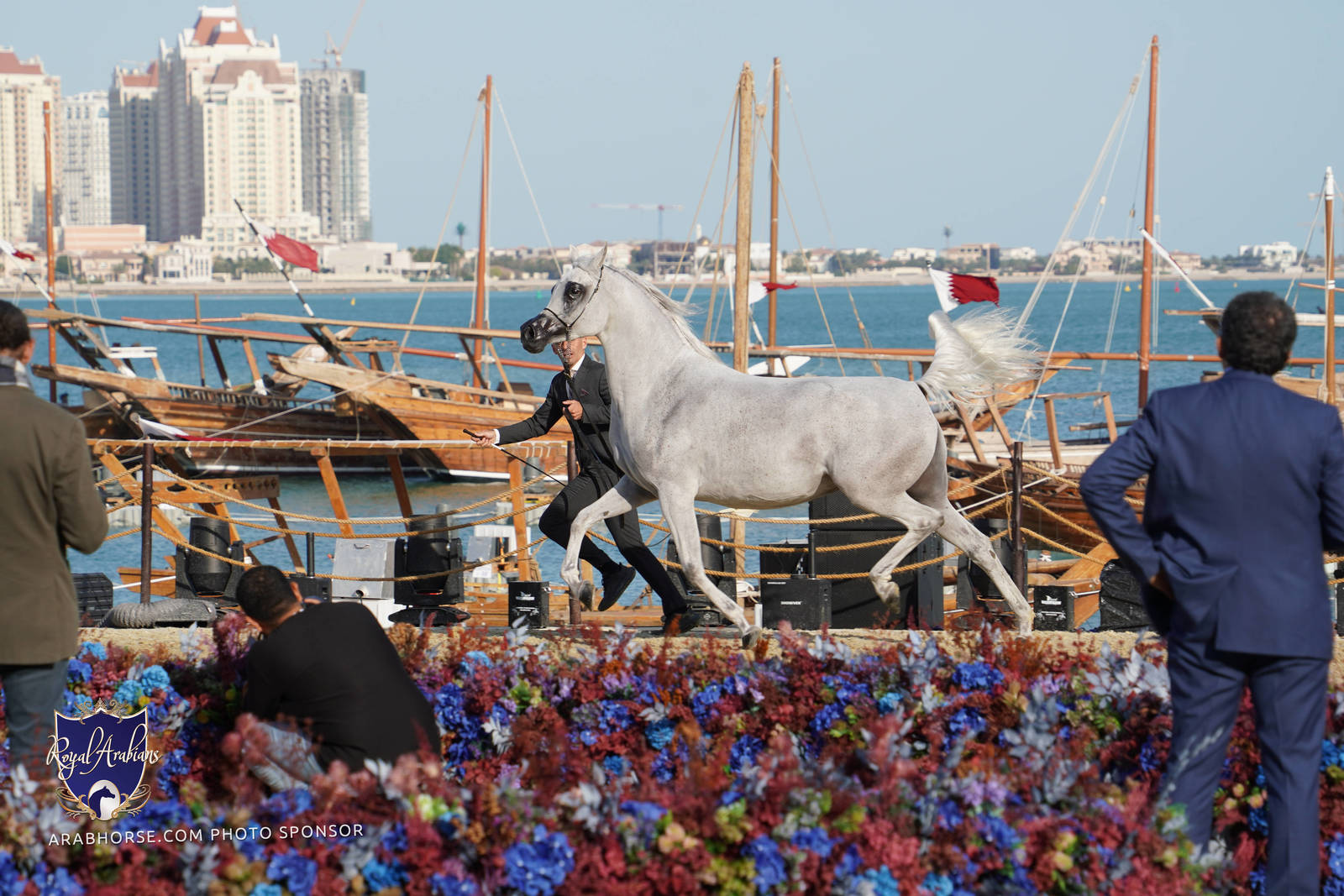 2023 Katara International Arabian Horse Festival: Title Show Day 3