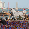 2023 Katara International Arabian Horse Festival: Title Show Day 3