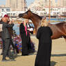 2023 Katara International Arabian Horse Festival: Title Show Day 3