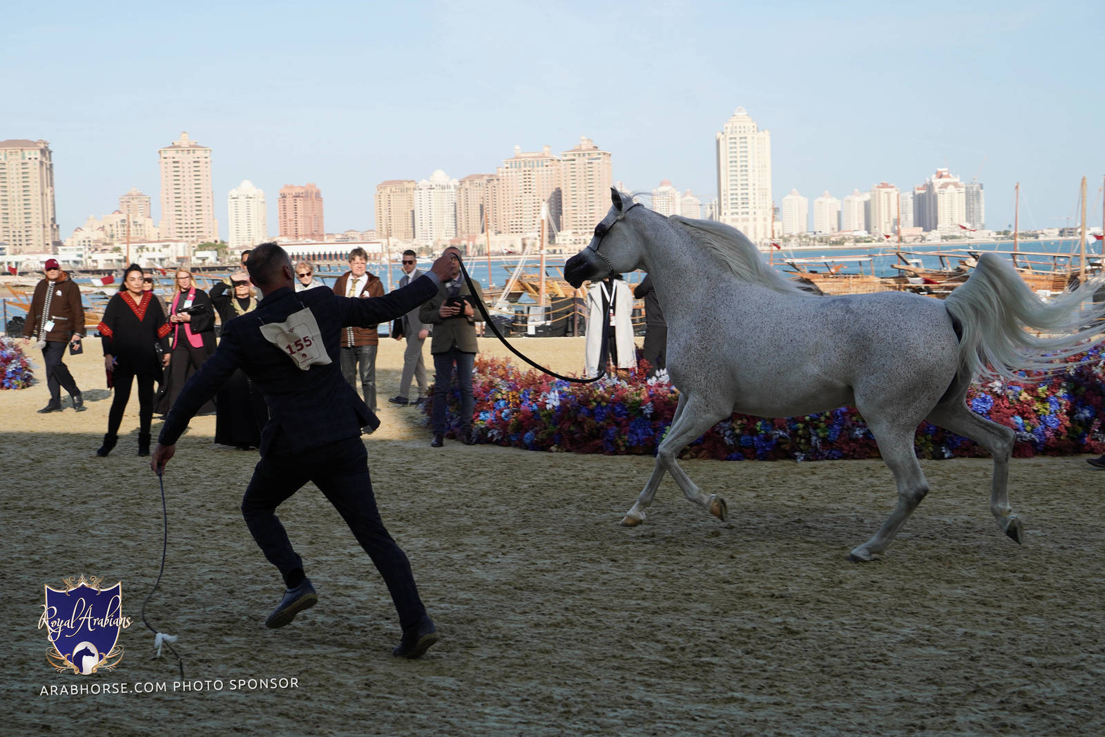 2023 Katara International Arabian Horse Festival: Title Show Day 3