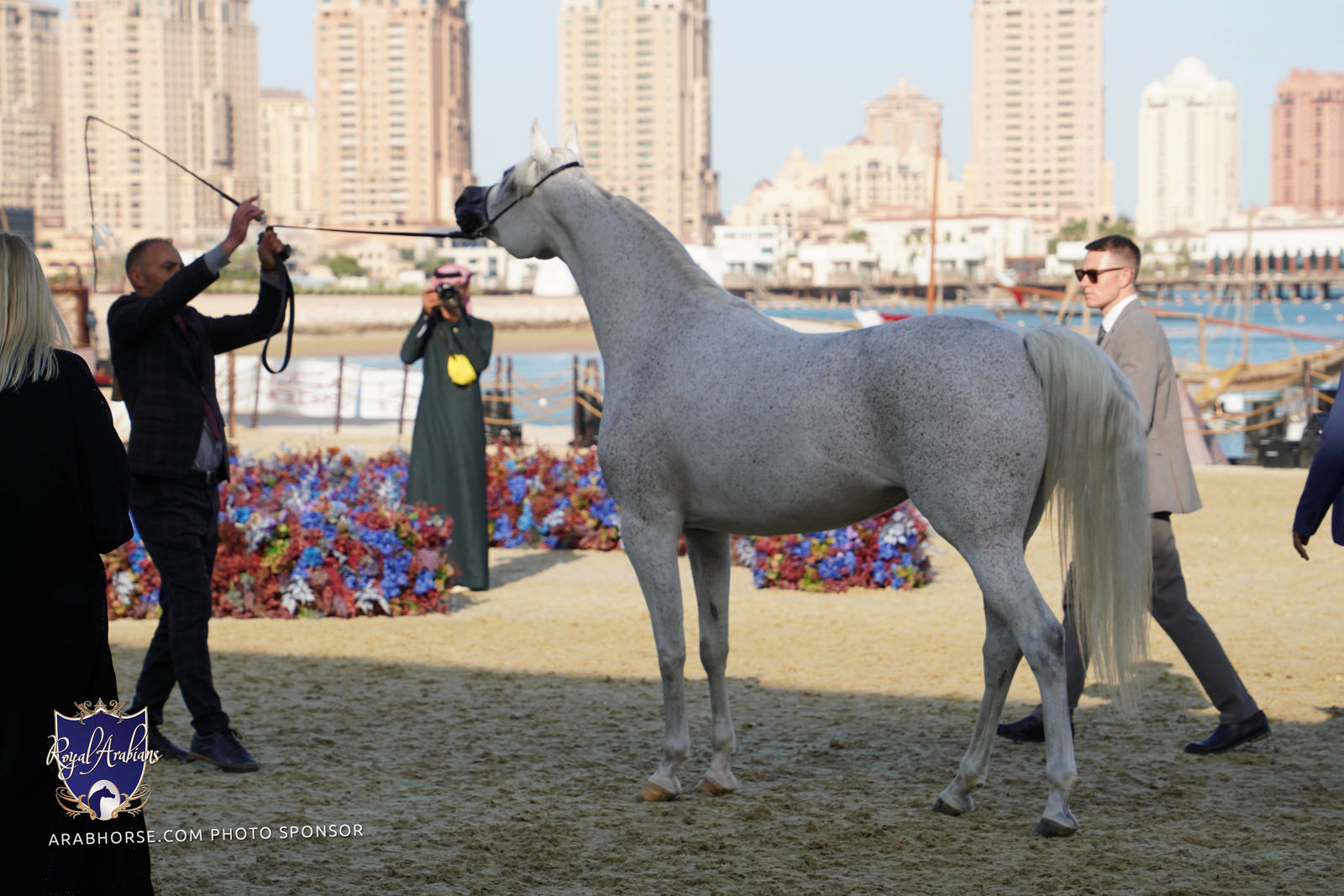 2023 Katara International Arabian Horse Festival: Title Show Day 3