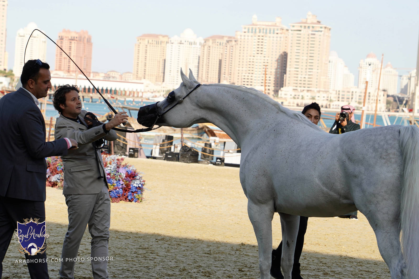 2023 Katara International Arabian Horse Festival: Title Show Day 3