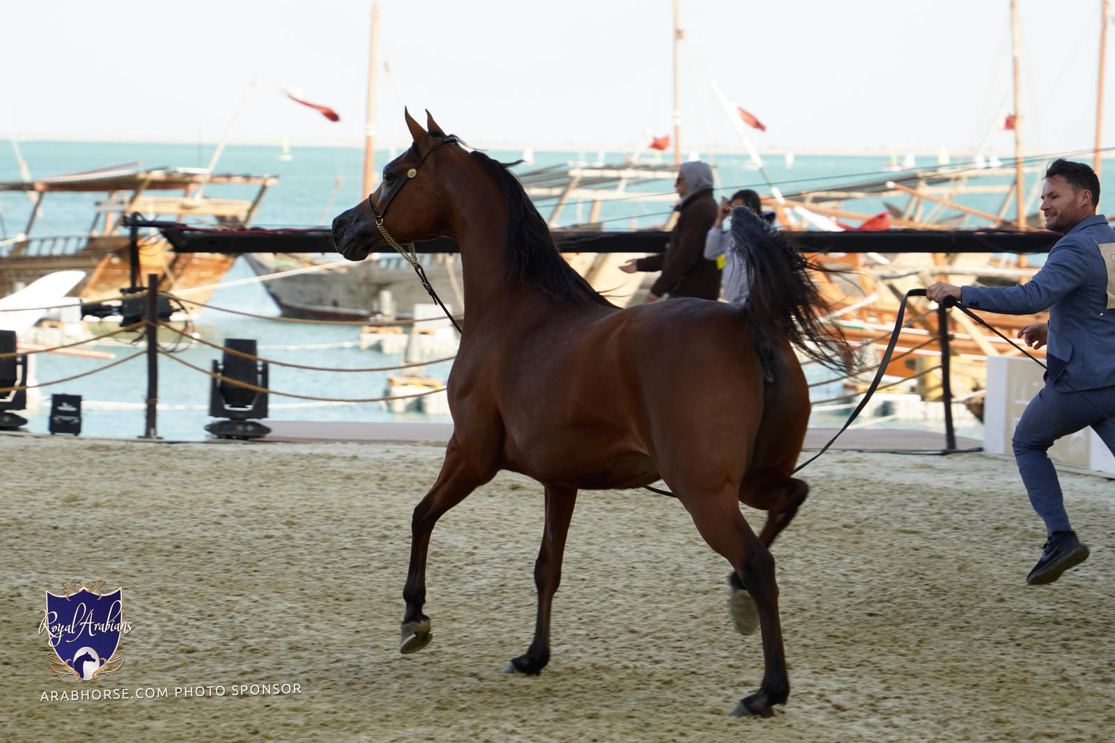 2023 Katara International Arabian Horse Festival: Title Show Day 3