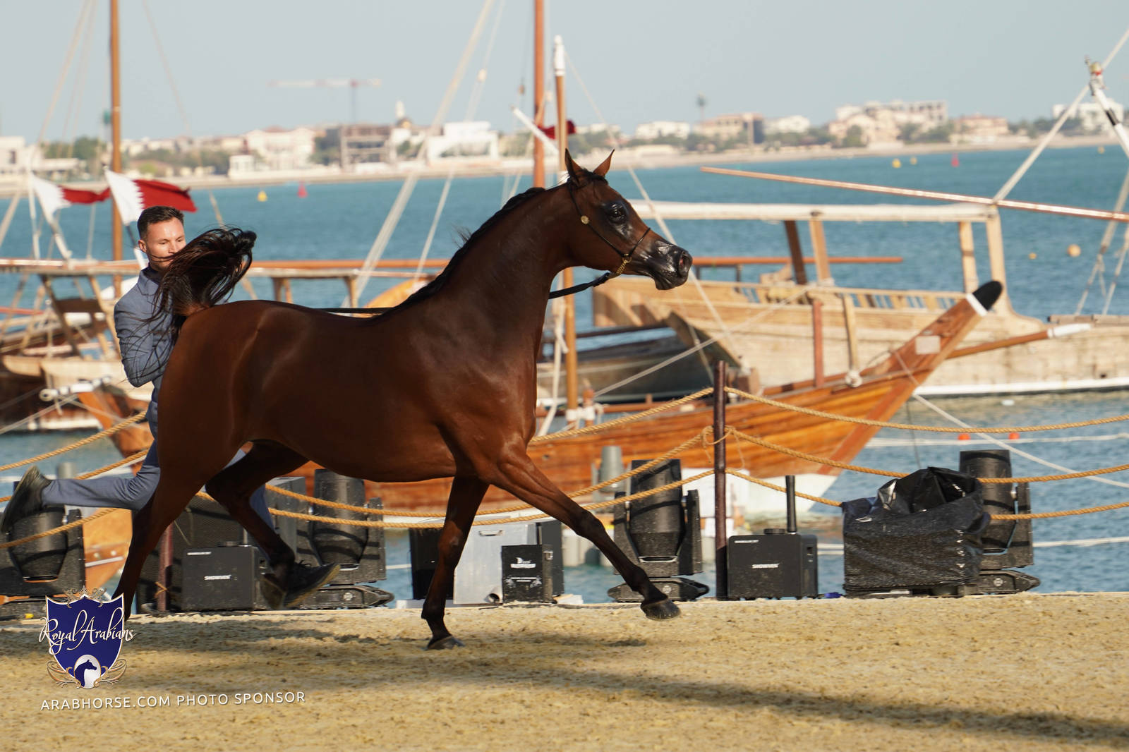 2023 Katara International Arabian Horse Festival: Title Show Day 3