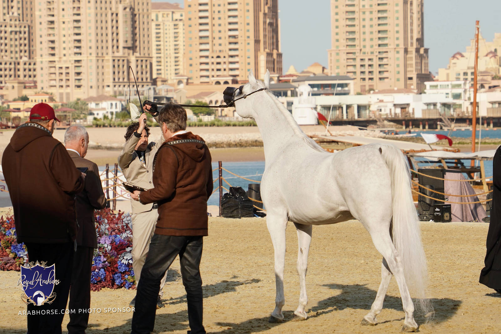2023 Katara International Arabian Horse Festival: Title Show Day 3