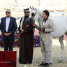 2023 Katara International Arabian Horse Festival: Title Show Day 3