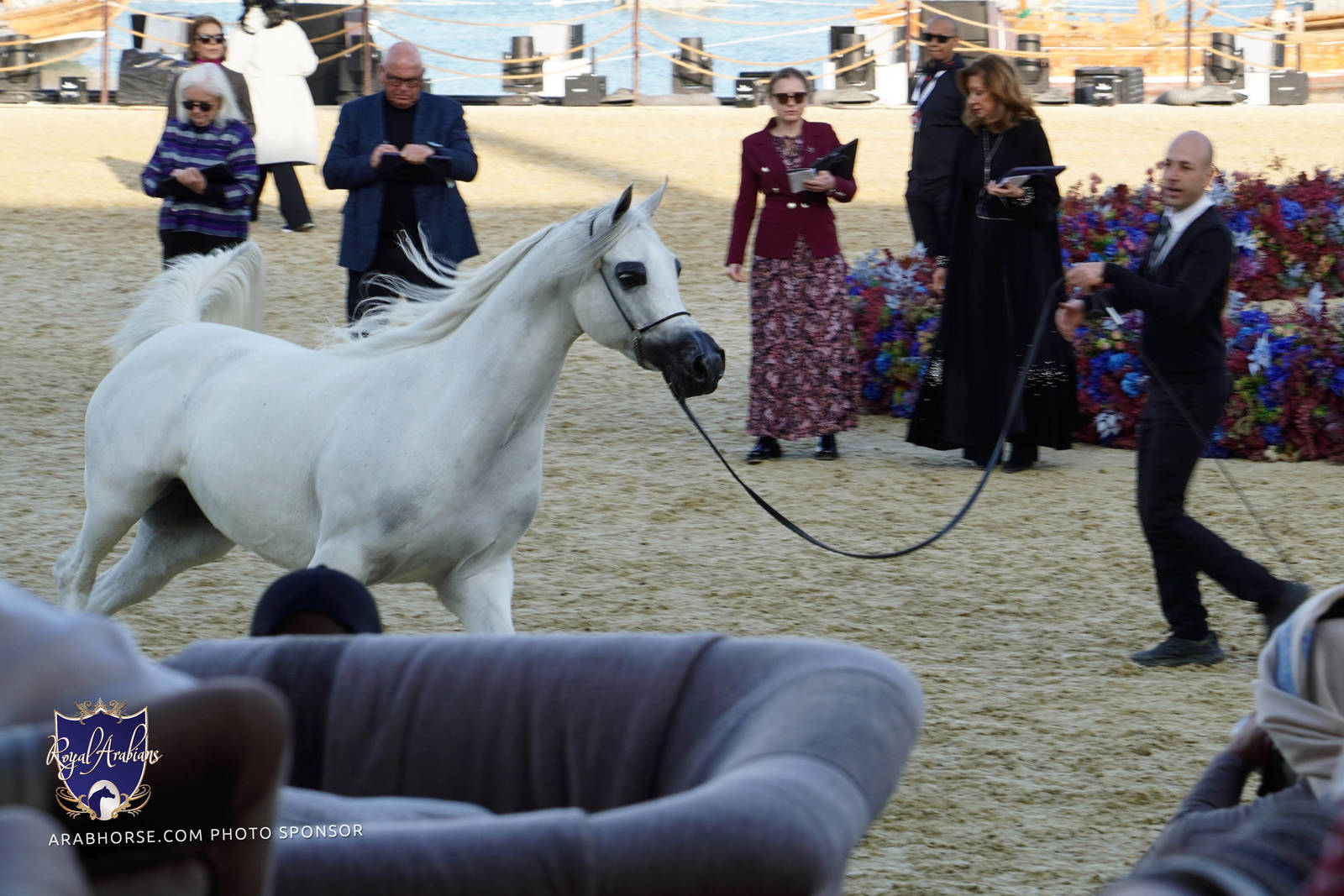 2023 Katara International Arabian Horse Festival: Title Show Day 3