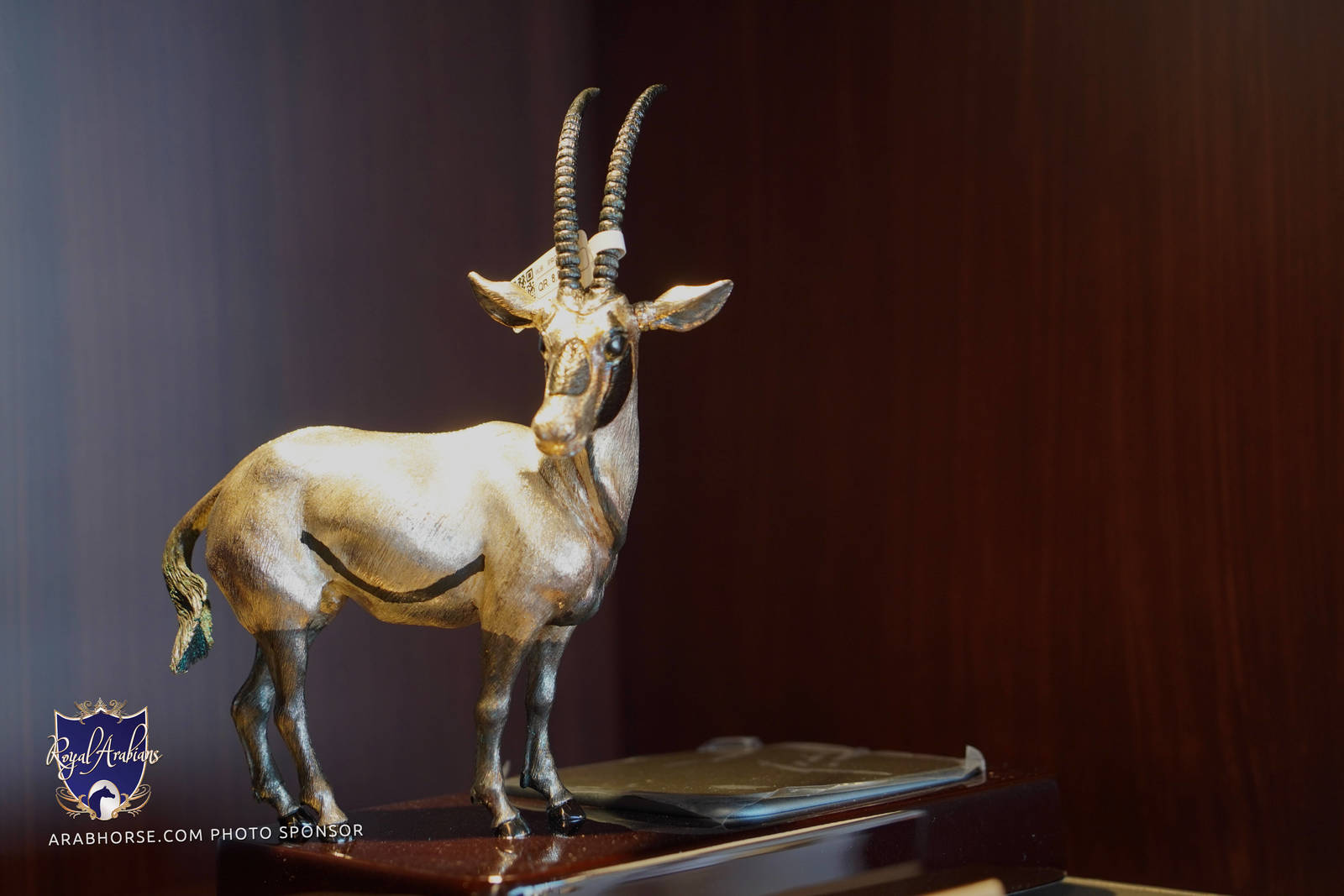 2023 Katara International Arabian Horse Festival: Title Show Day 3