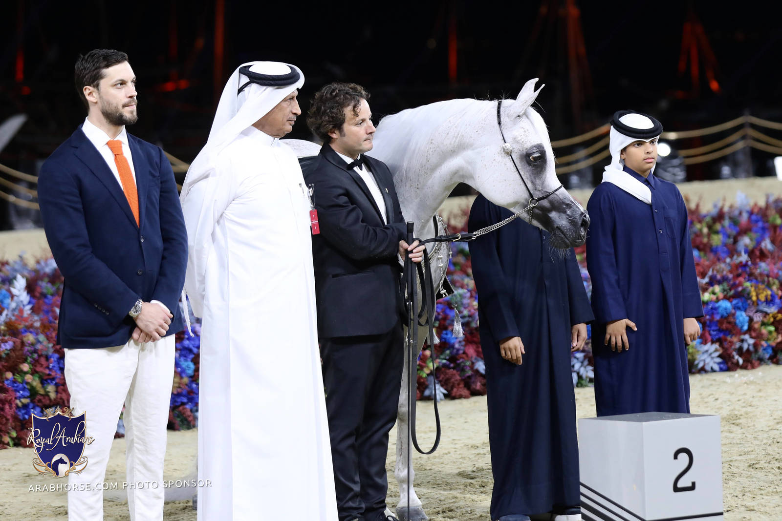 2023 Katara International Horse Festival - Championship Photos !! 