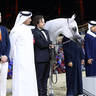 2023 Katara International Horse Festival - Championship Photos !! 