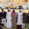 2023 Katara International Horse Festival - Championship Photos !! 