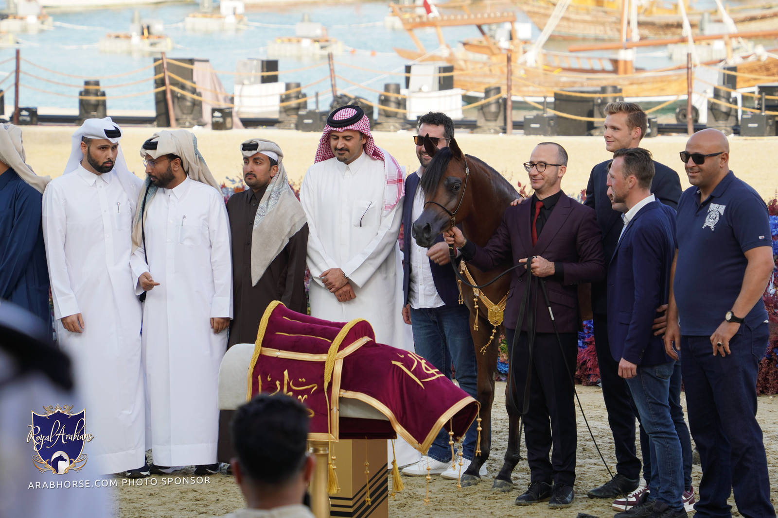 2023 Katara International Horse Festival - Championship Photos !! 