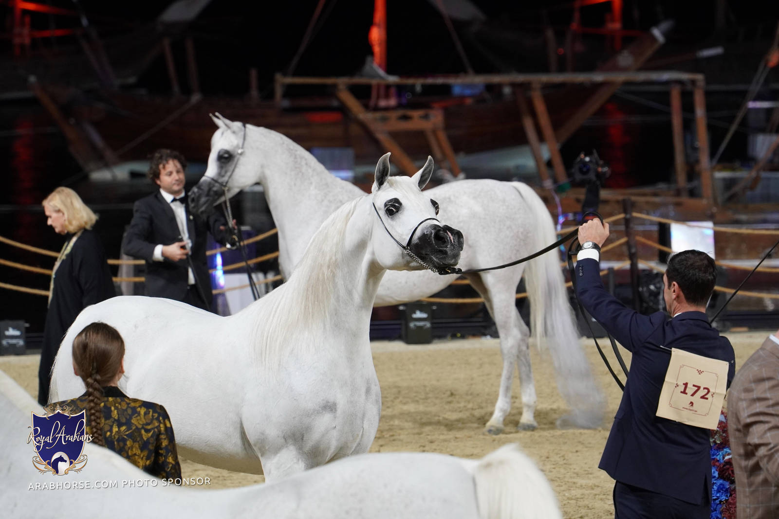 2023 Katara International Horse Festival - Championship Photos !! 