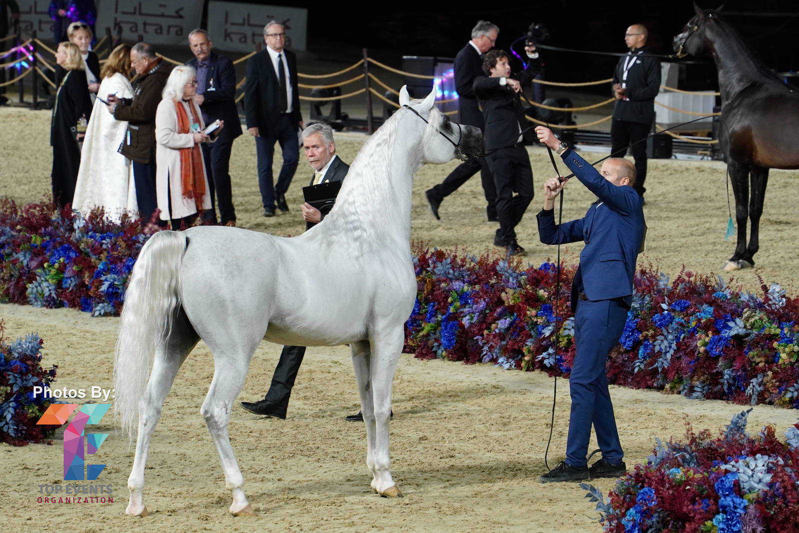2023 Katara International Horse Festival - Championship Photos !! 