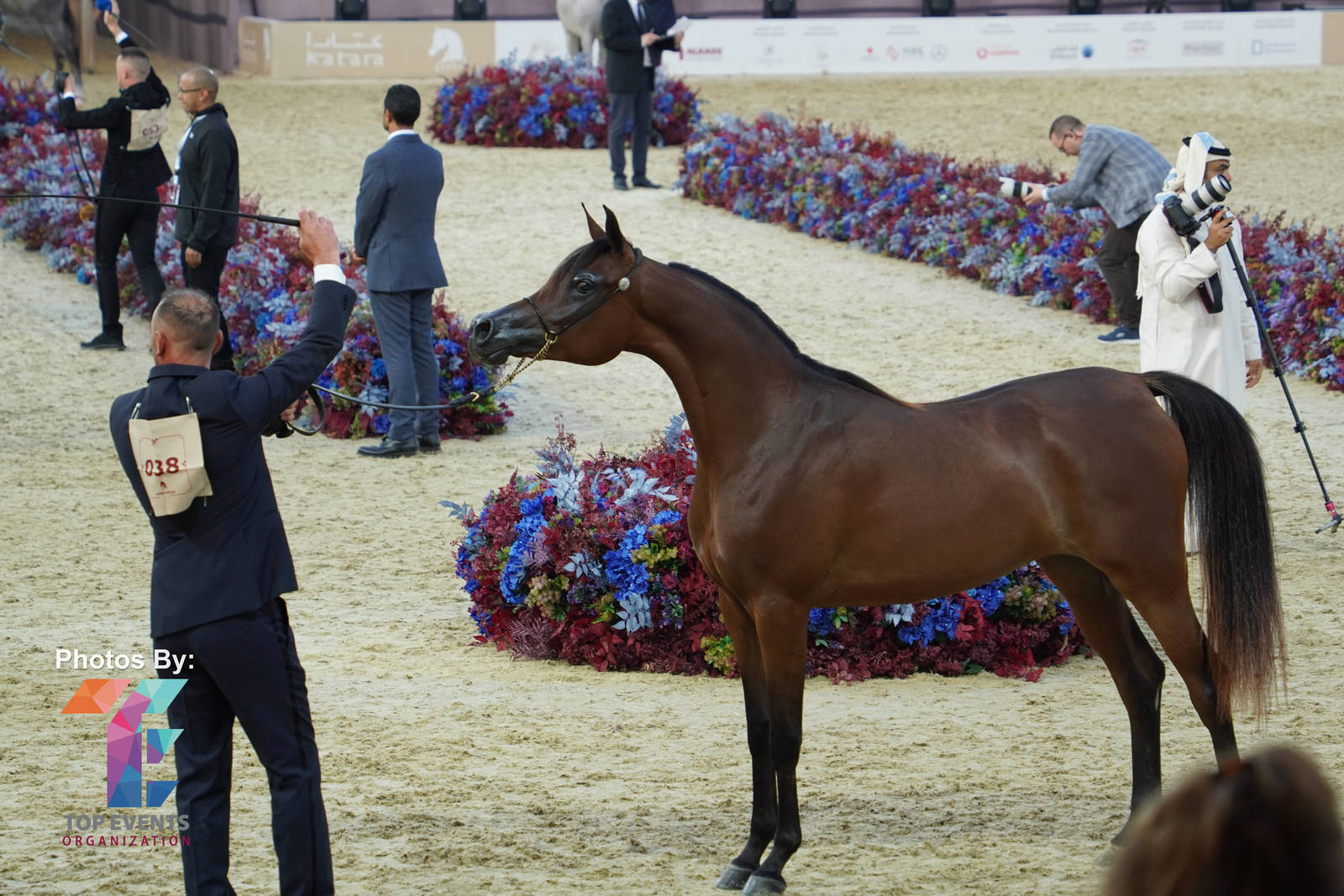 2023 Katara International Horse Festival - Championship Photos !! 