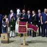 2023 Katara International Horse Festival - Championship Photos !! 