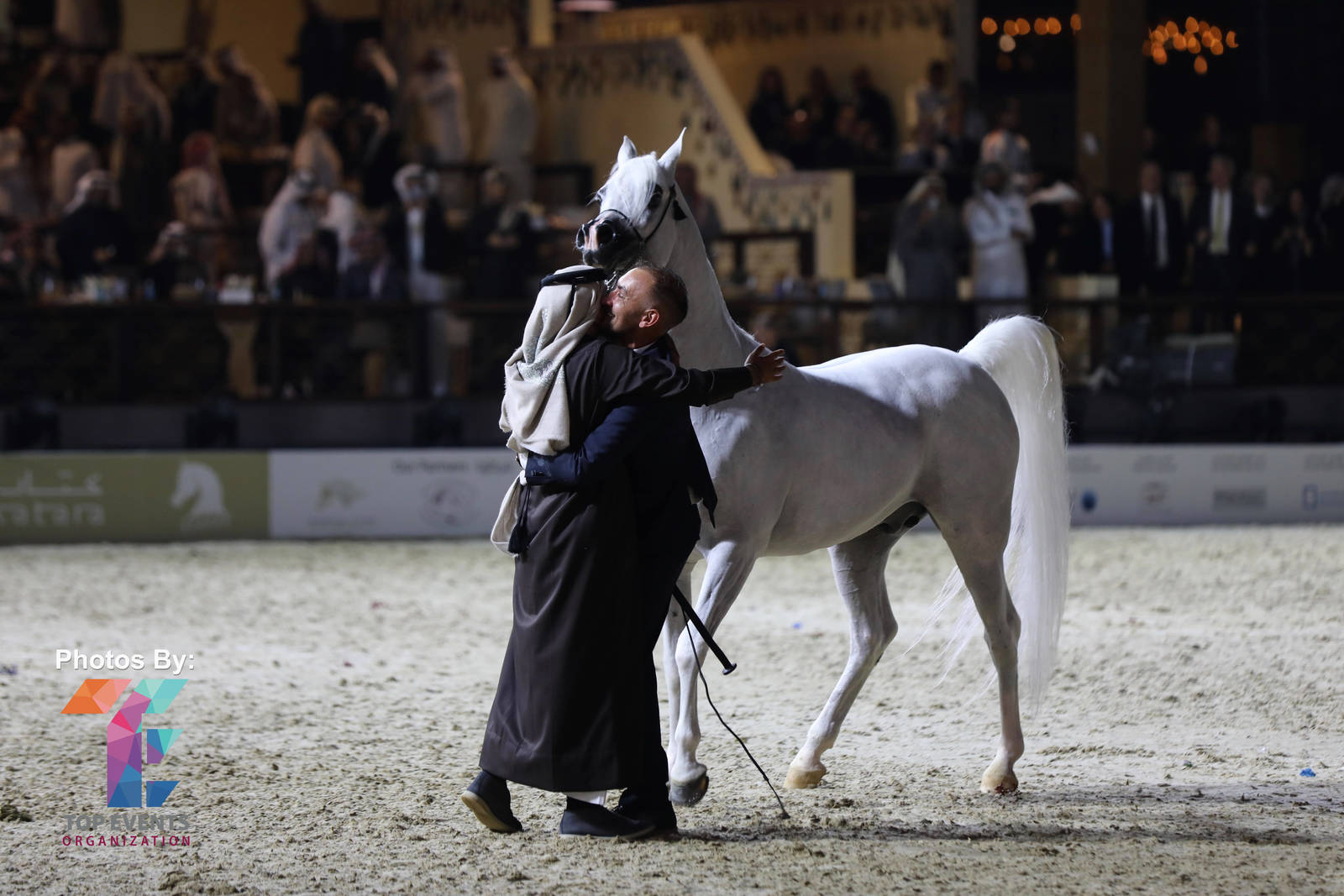 2023 Katara International Horse Festival - Championship Photos !! 