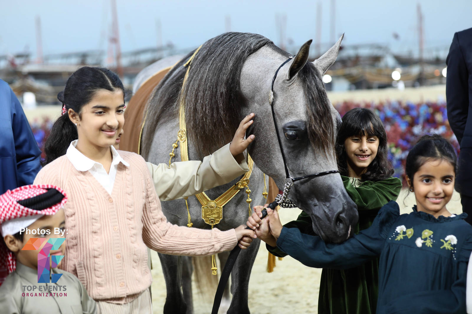 2023 Katara International Horse Festival - Championship Photos !! 