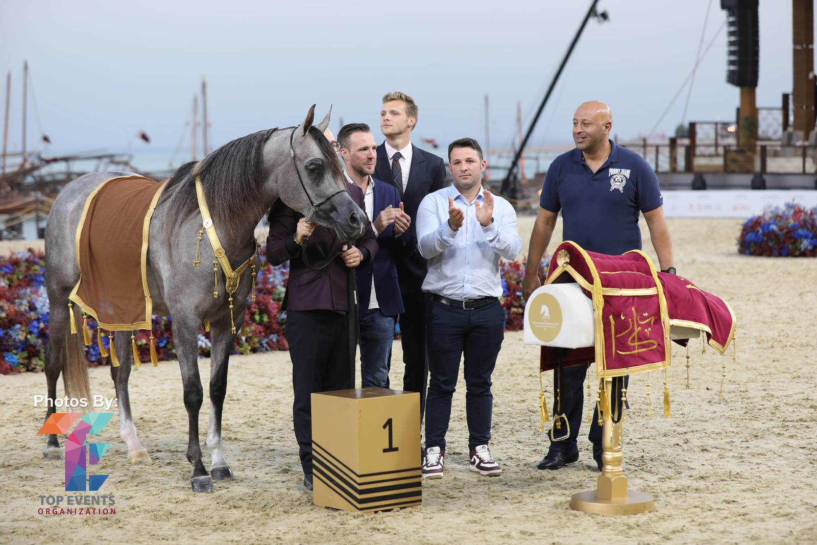 2023 Katara International Horse Festival - Championship Photos !! 
