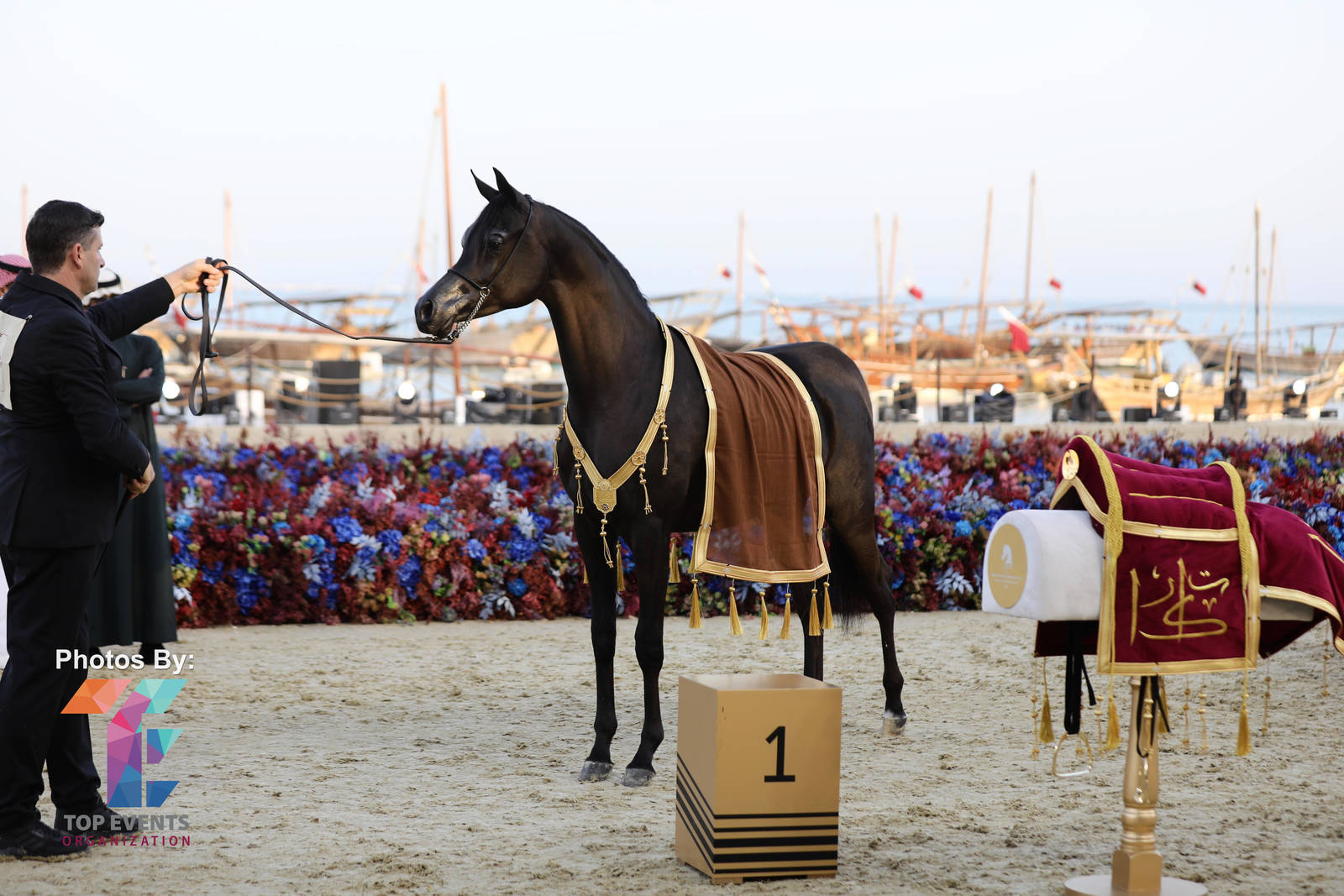 2023 Katara International Horse Festival - Championship Photos !! 