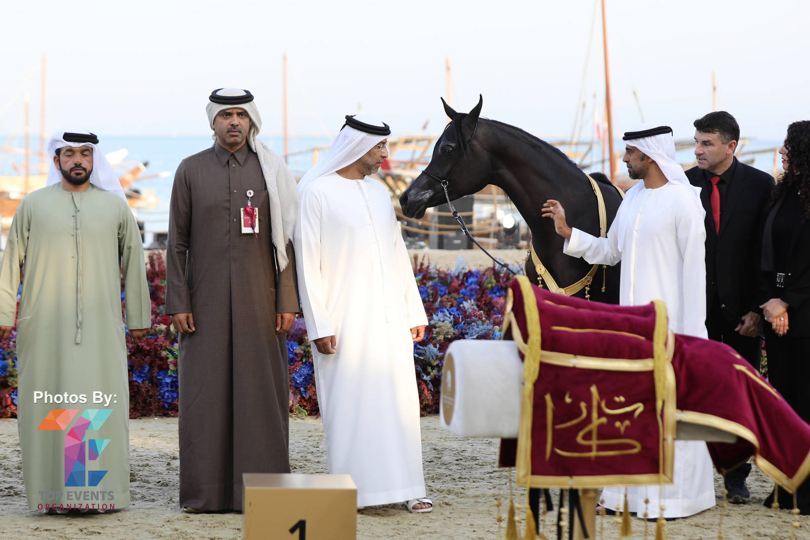 2023 Katara International Horse Festival - Championship Photos !! 