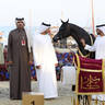 2023 Katara International Horse Festival - Championship Photos !! 