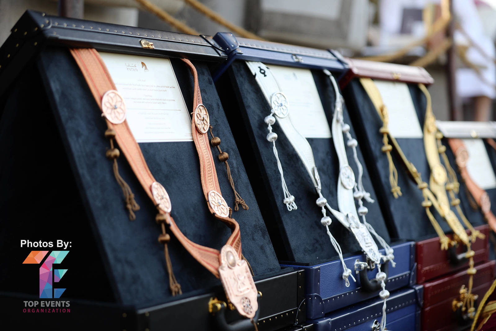 2023 Katara International Horse Festival - Championship Photos !! 