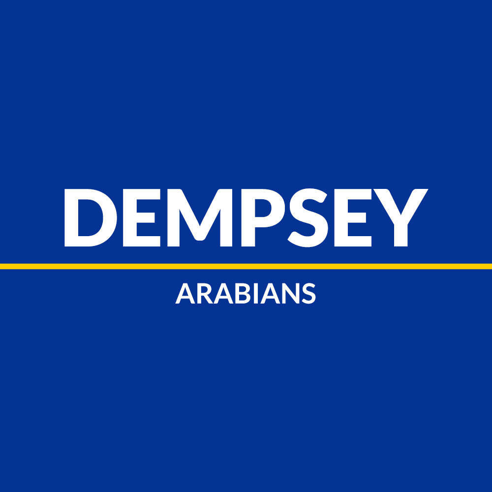 Dempsey Arabians