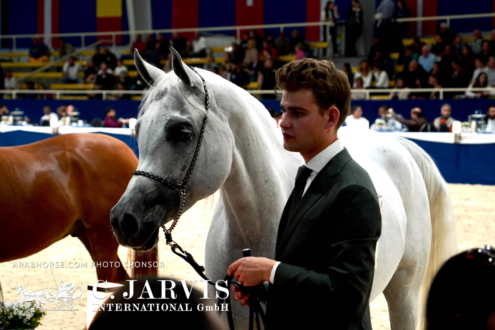 2023 All Nations Cup and Farm Visits