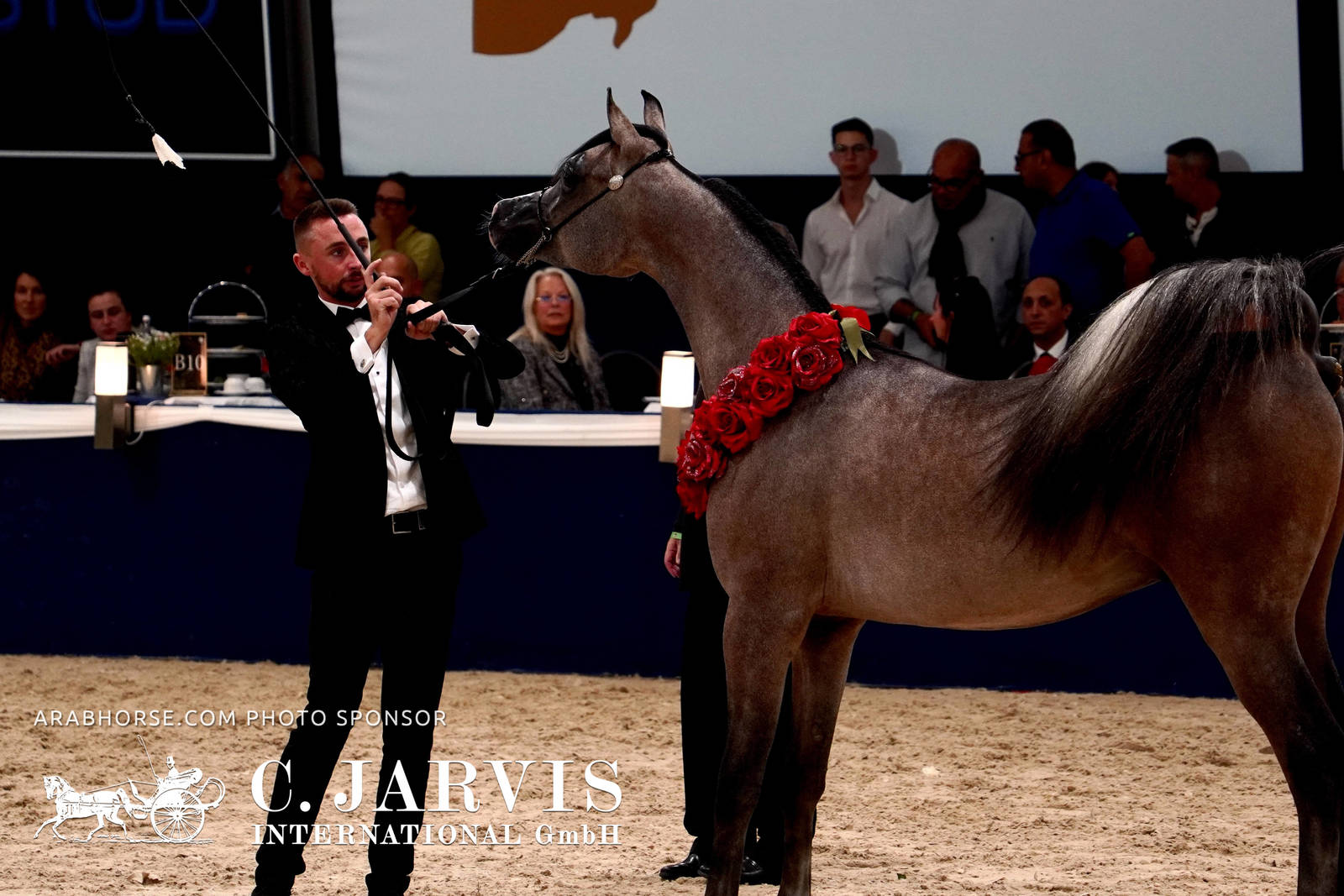 2023 All Nations Cup and Farm Visits