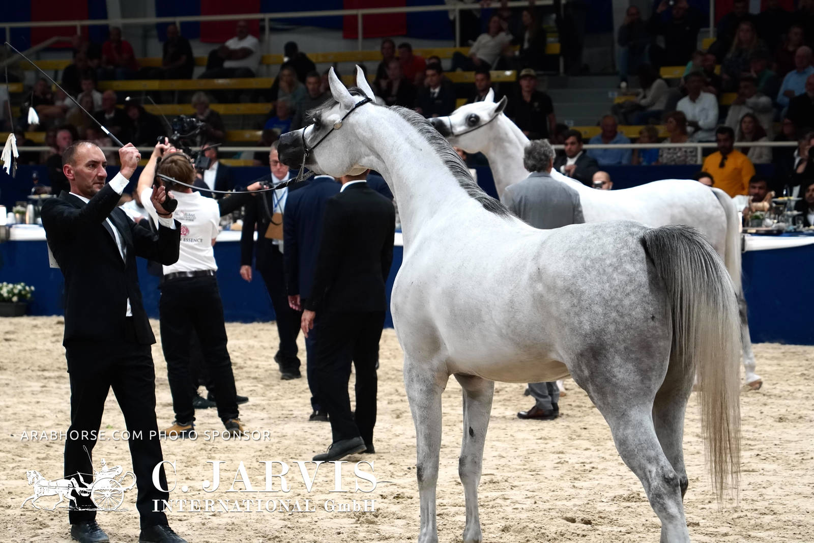 2023 All Nations Cup and Farm Visits